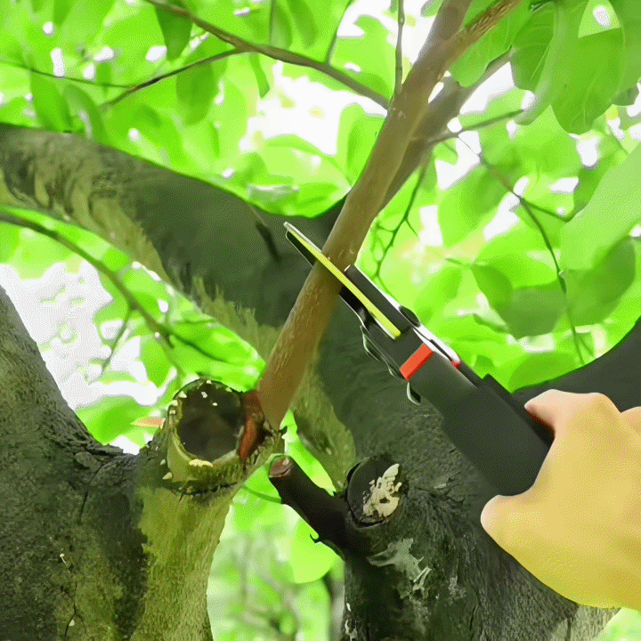 PADEN™ Titanium Pruning Shears