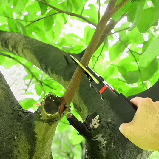 PADEN™ Titanium Pruning Shears